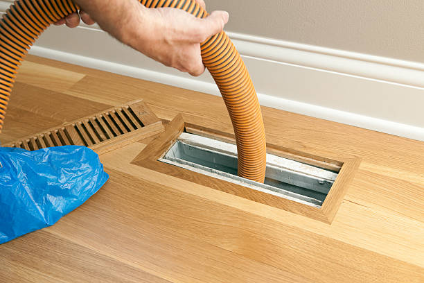 Best Local Air Duct Cleaning Services  in Carlinvle, IL